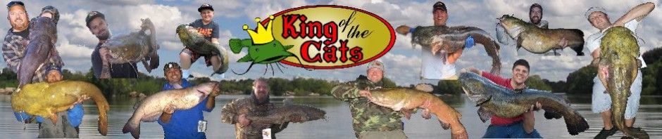 Flathead Catfish Weight Chart